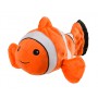 Poisson clown juniors