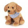 Bouillotte peluche chauffante Chien Labrador